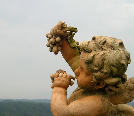 让工作更轻松的网页攻击器