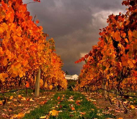 即时发货的网页攻击器